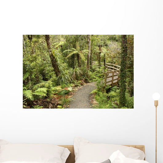 track through rain forest in New Zealand Wall Mural