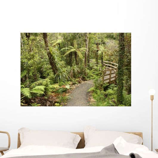 track through rain forest in New Zealand Wall Mural
