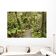 track through rain forest in New Zealand Wall Mural