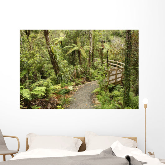 track through rain forest in New Zealand Wall Mural