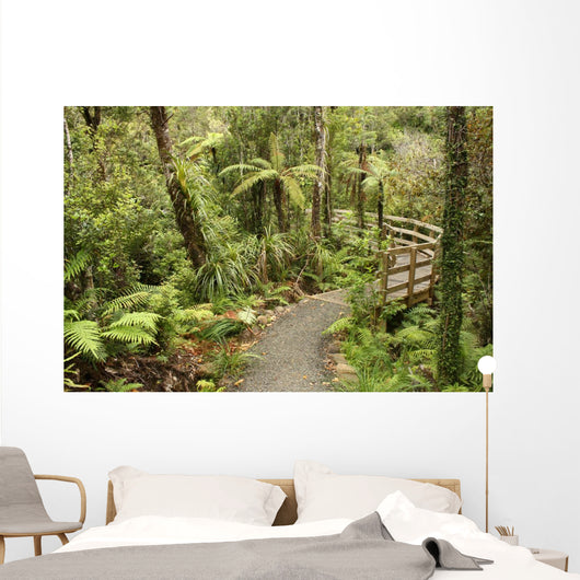 track through rain forest in New Zealand Wall Mural