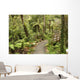 track through rain forest in New Zealand Wall Mural