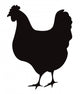Hen Silhouette White Wall Decal