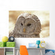 Ural Owl Wall Mural