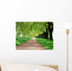 Treelined path Wall Mural