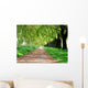 Treelined path Wall Mural