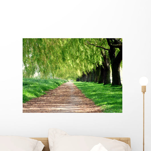 Treelined path Wall Mural