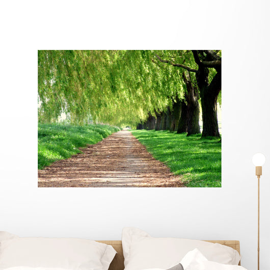 Treelined path Wall Mural