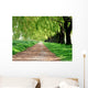 Treelined path Wall Mural