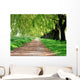 Treelined path Wall Mural