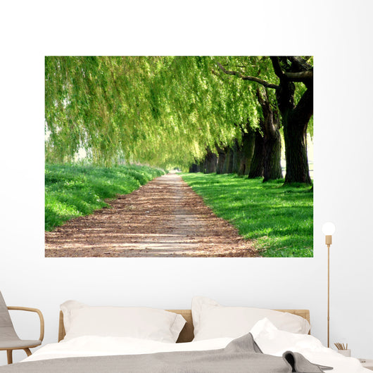 Treelined path Wall Mural