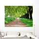 Treelined path Wall Mural
