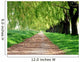 Treelined path Wall Mural