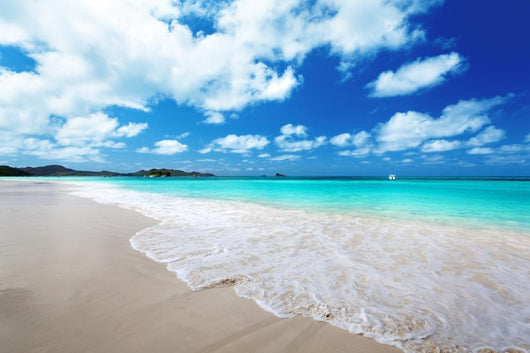 Beach Praslin Island Seychelles