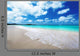Beach Praslin Island Seychelles