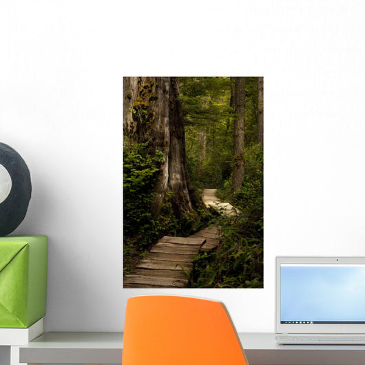 Wood Path