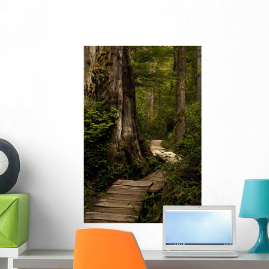 Wood Path
