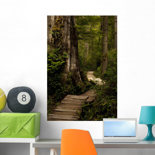 Wood Path
