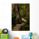 Wood Path