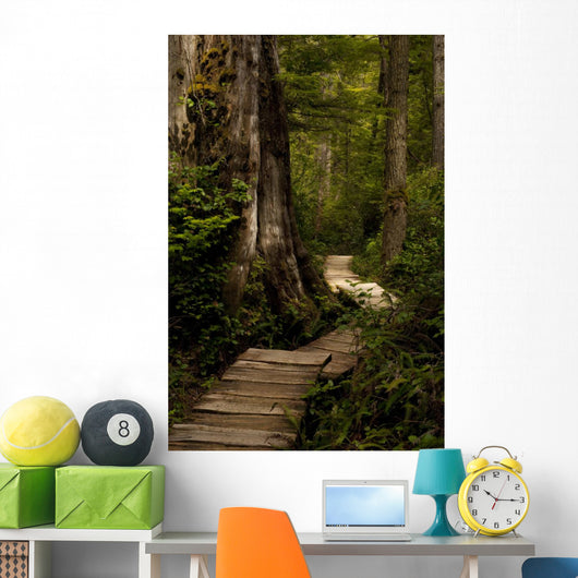 Wood Path