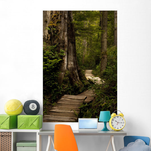 Wood Path