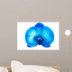 Blue Orchid Flower Wall Mural