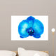 Blue Orchid Flower Wall Mural
