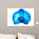 Blue Orchid Flower Wall Mural