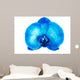 Blue Orchid Flower Wall Mural