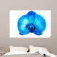 Blue Orchid Flower Wall Mural