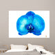 Blue Orchid Flower Wall Mural