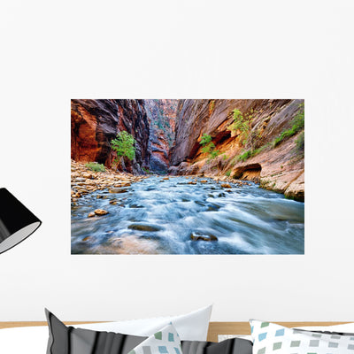 Virgin River shown on a wall