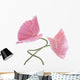 Pink Poppy Flowers Wall Decal