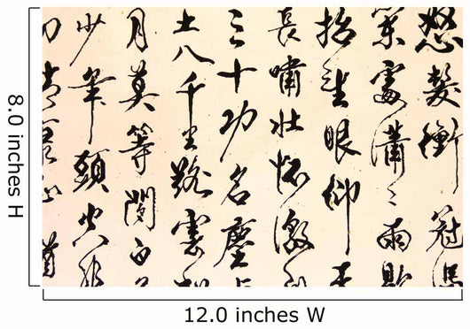Ancient Chinese calligraph Wall Mural