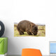 Wombat