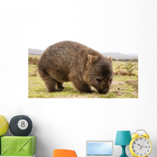Wombat