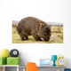 Wombat