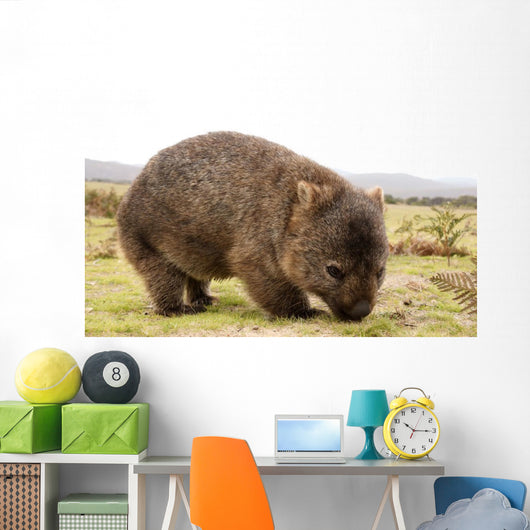 Wombat
