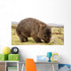 Wombat