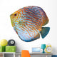 South American Fish Discus