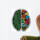 Human Brain