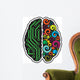 Human Brain