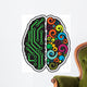 Human Brain