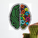 Human Brain