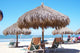 New Vallarta Palapa Wall Mural