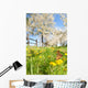 Butterfly Spring Meadow