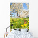Butterfly Spring Meadow