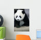 Giant Panda Bear Wall Mural