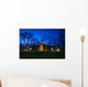 Campus buildings in Princeton University at night Wall Mural