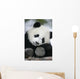 Giant Panda Bear Wall Mural